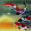 Asian Koi Fish Paintings & Wall Scrolls Art