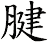 腱