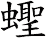 蟶