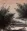 Cranes and Boat at the River Bank - Chinese Landscape Painting