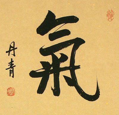 ENERGY - SPIRITUAL ESSENSE Chinese / Japanese Kanji Wall Scroll close up view