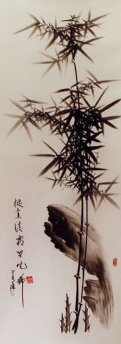 Charcoal Bamboo Portrait