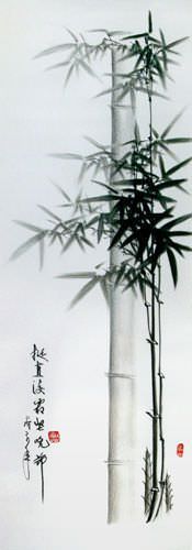 Charcoal Bamboo Portrait